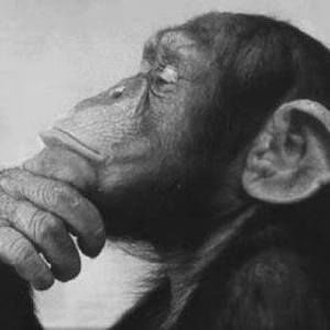 Meet your Posher, Pete